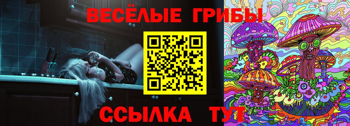 Псилоцибиновые грибы мухоморы  Псилоцибиновые грибы MAGIC MUSHROOMS  Энгельс  Вход с VPN 